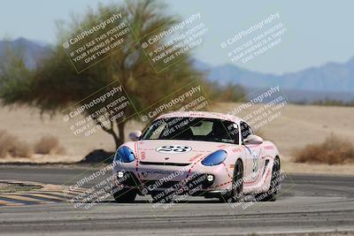 media/Oct-18-2025-PCA San Diego (Sat) [[653db1c827]]/3-Orange/Session 3 Turn 4 Tree of Life/